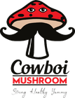 Cowboi Mushroom